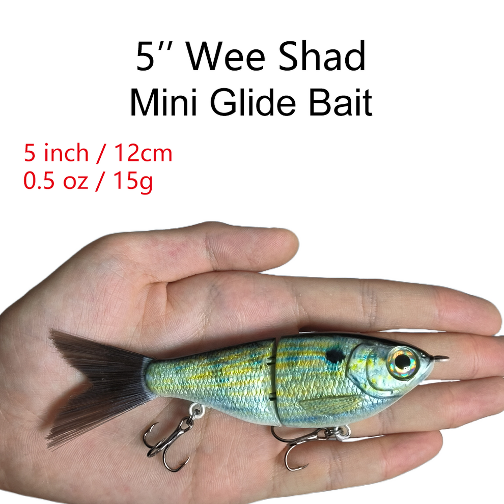 5'' Mini Shad Painted Glide Bait T2a1-d-e High Quality Lure Blanks From 